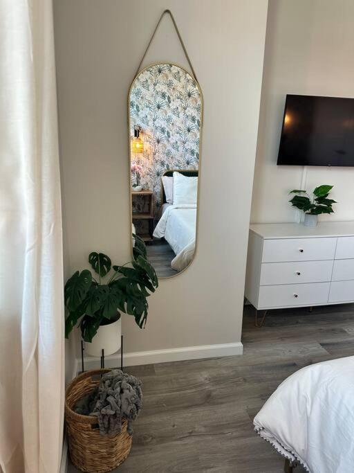 Home Haven, Walk To Little Italy & Wooster Square New Haven Eksteriør billede