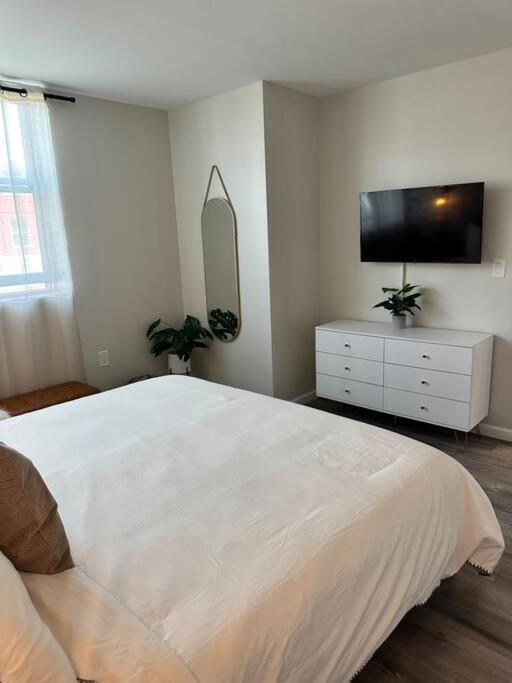 Home Haven, Walk To Little Italy & Wooster Square New Haven Eksteriør billede