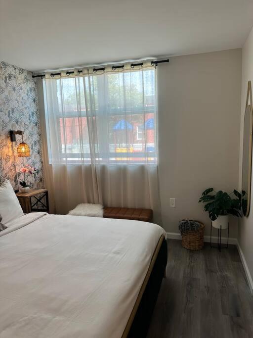 Home Haven, Walk To Little Italy & Wooster Square New Haven Eksteriør billede